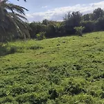 Geremeas Le Palme * Marongiu