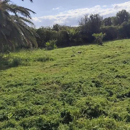 Geremeas Le Palme * Marongiu